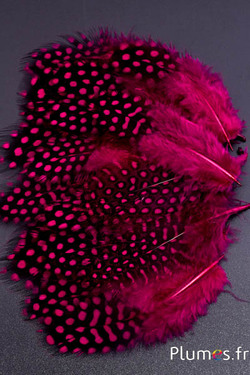 Pintade de Numidie - 7-13 cm - cerise